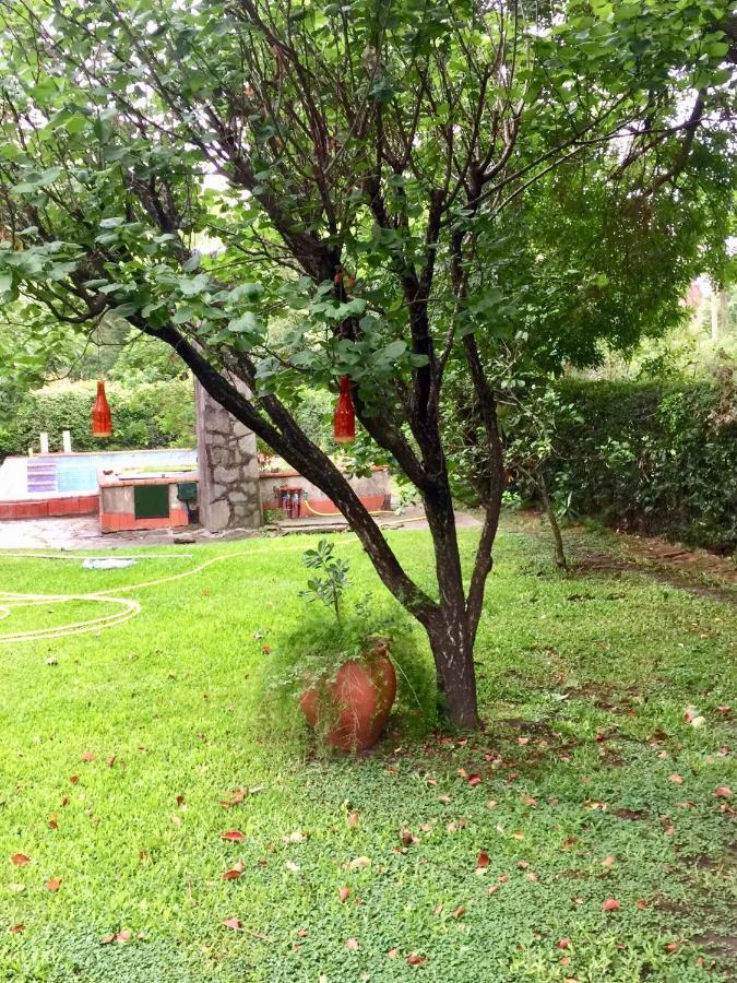 Casa De Huespedes El Trebol De Ezeiza Guest House La Union Eksteriør bilde